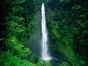 Landscape, Water, Trees, Waterfalls HD wallpaper