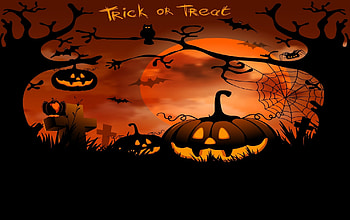Halloween Night, pumpkin, trees, bats, owl HD wallpaper