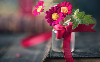 Still life, Tape, Jug, Bokeh, Book HD wallpaper