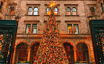 Lotte Palace, New York Christmas HD wallpaper