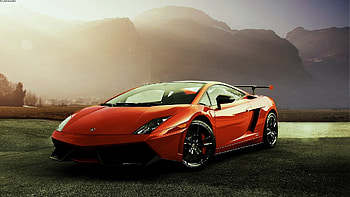 320 Gallardo , Extensive collection, Automotive art, Visual spectacle HD wallpaper