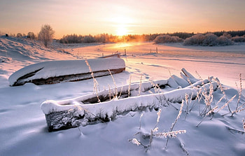 Winter, frozen, tree, sunset HD wallpaper