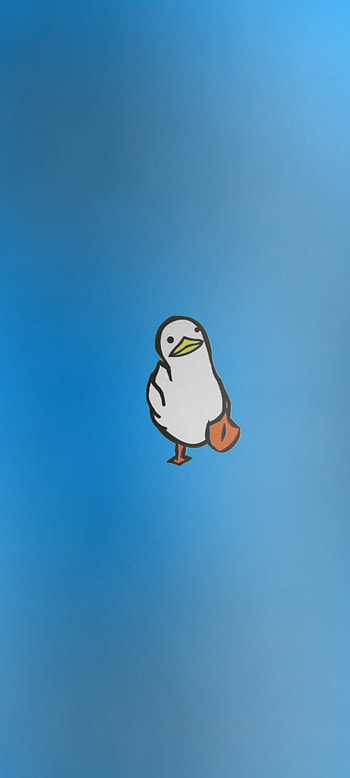 Storm duck HD phone wallpaper
