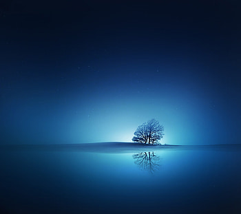 Blue Dreams, blue, nature, reflection, tree HD wallpaper