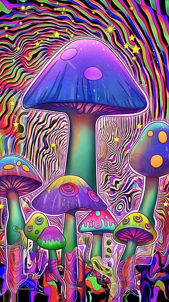 Mushrooms, magenta, art HD phone wallpaper