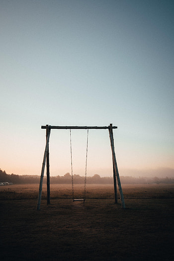 Swing, Trees, Miscellanea, Miscellaneous, Fog, Field HD phone wallpaper