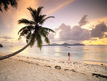 Landscape, Nature, Beach HD wallpaper