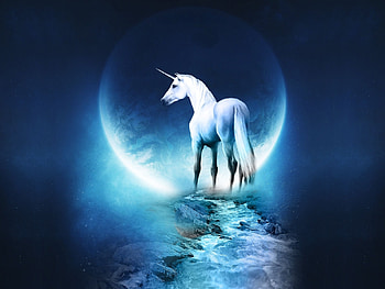 Animals, Fantasy, Unicorns HD wallpaper