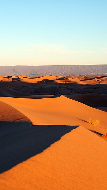 Earth's desert, Ancient landscapes, Survival challenge, Nature's extremes HD phone wallpaper