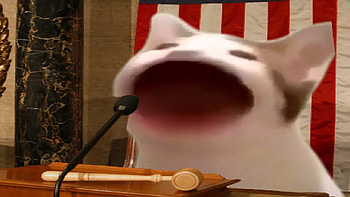 pop cat, Popcat HD wallpaper