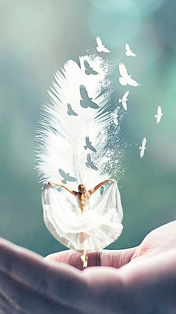 Girl, head, feather HD phone wallpaper