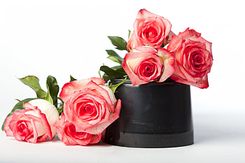 ✿ Moments with roses ✿, sweet, bouquet, black, gentle, roses, arrangement, precious, delicate, ponk, love, nature, flowers, forever, pot HD wallpaper