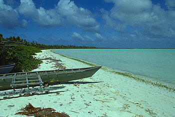 Idyllic escape, Diving paradise, Untouched underwater world, Marine biodiversity HD wallpaper