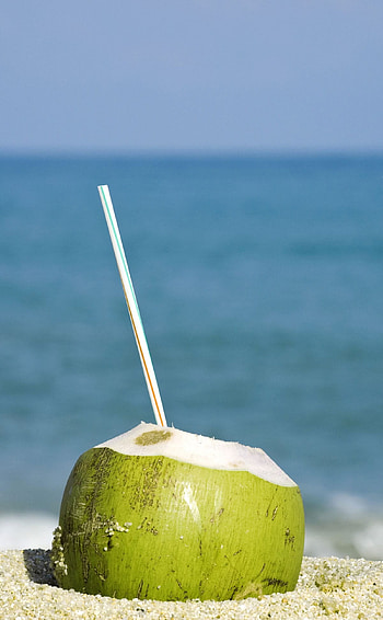 Coconut jelly, Healthy dessert, Vegan-friendly, Refreshing treat HD phone wallpaper
