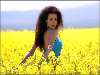 Wildflowers, blue top, field yellow flowers, black hair, woman, beauty HD wallpaper