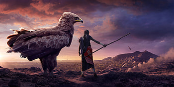 Eagle Training , eagle, artist, artwork, digital-art HD wallpaper