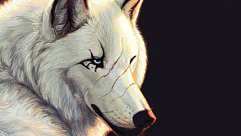 pics beautiful 3d animated wolf painting attractive quality background HD wallpaper
