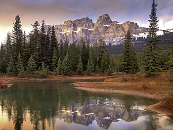 Landscape, Rivers, Trees HD wallpaper