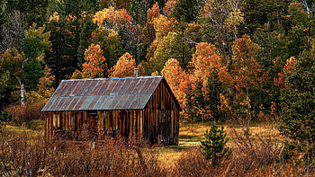 Hope Valley, California, shed, leaves, fall, landscape, autumn, trees, colors, usa HD wallpaper