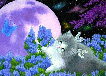 Fairy Kitty, artwork, wings, painting, planet, cat, flowers HD wallpaper