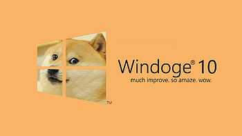 Cute Dog Boo : : High Definition . HD wallpaper