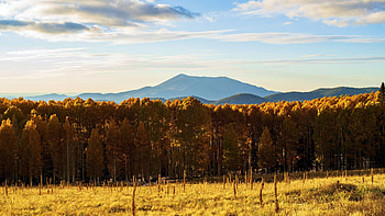 Fall colors on full display near Flagstaff, Arizona, leaves, clouds, landscape, trees, autumn, sky, usa HD wallpaper