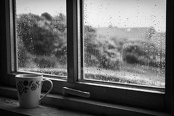 Rainy Sunday, rainy, sunday, window, cup HD wallpaper