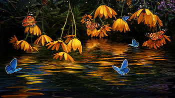 Floating ...., butterflies, flowers, reflection, water, blue HD wallpaper