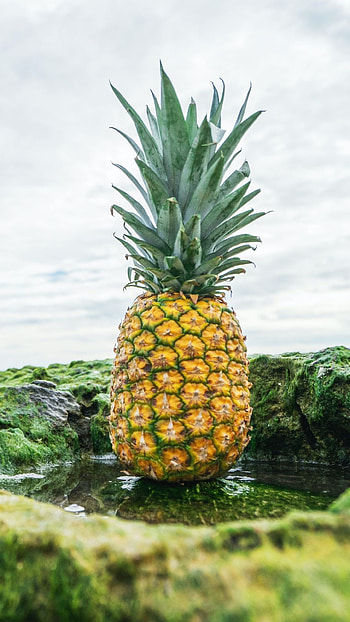 backgrounds, Pineapple , Top 20 HD phone wallpaper