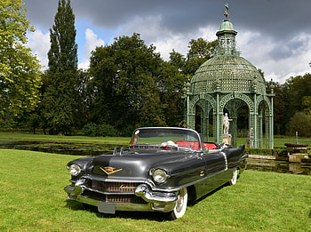 1956 Cadillac Eldorado Convertible, cadillac, 1956, eldorado, convertible, cars HD wallpaper