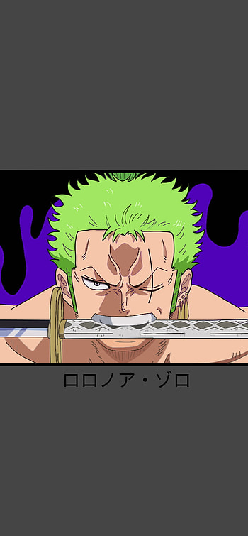 Zoro One Piece grey, sword, box logo, Roronoa Zoro, katana, mugiwara, wano, one piece, anime HD phone wallpaper