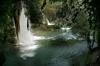 Waterfall, wonderful, water, tree HD wallpaper