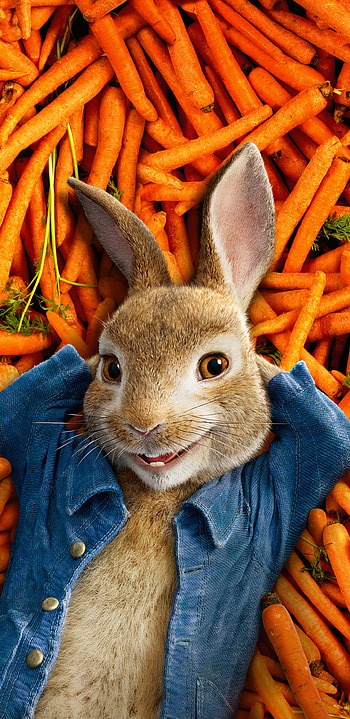 Peter Rabbit 2018 movie , Galaxy , Vibrant colors, Movie magic HD phone wallpaper