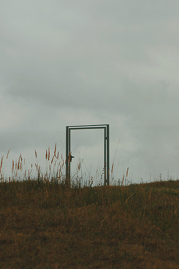 Grass, Sky, Minimalism, Fence, Gate, Wicket HD phone wallpaper