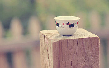 Sweet Cup, sweet, milk, pastel, tea, magnifique, adorable, cup, lovely HD wallpaper