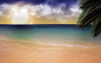In dreams , dreams HD wallpaper