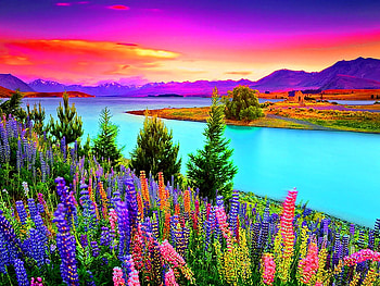 Flowers at sunset, river, colorful, sundown, floral, colors, lupin, sunrise, beach, shore, clouds, nature, flowers, sky, water, sunset HD wallpaper
