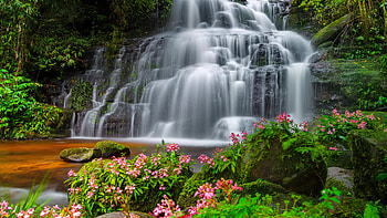 Waterfall in Thailand, Thailand, Asia, tropical, exotic, waterfall, beautiful, forest, rocks, wildflowers, cascades HD wallpaper
