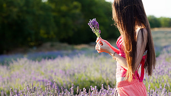 Girl Dress Field Flowers, girls, dress, flowers, field HD wallpaper