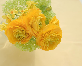 Yellow bloom ;), sunshine, bouquet, magnificent, beautiful, light, yellow, nature, flowers, sun, forever HD wallpaper