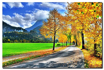Another road to travel, pathway, grass, gold, country, orange, tree, yellow, autumn, mountains HD wallpaper