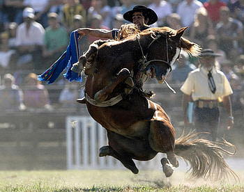 gaucho, uruguay, horse, arena HD wallpaper