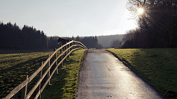 Nature, Road, Fence, Horse HD wallpaper