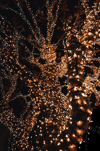 Holidays, New Year, Christmas, Garland, Decoration HD phone wallpaper