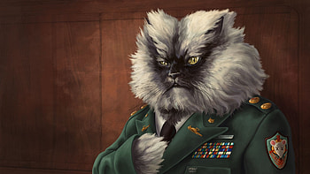 Major the Cat, army, funny, humor, cat HD wallpaper