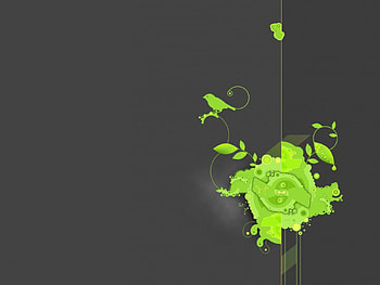 Flower and a Bird, swirl, leaves, abstract, bird, imagination, green, lines HD wallpaper