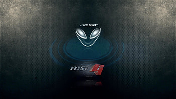 .wiki--Msi--PIC-WPD002989 HD wallpaper
