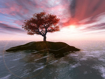 Sunset, island, sky, nature, tree HD wallpaper