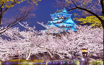 Osaka Castle, Travels, Ancient fortress, Majestic stronghold HD wallpaper
