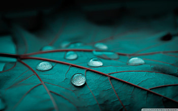 Emerald, Emerald City HD wallpaper